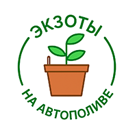 Питомник экзотических растений